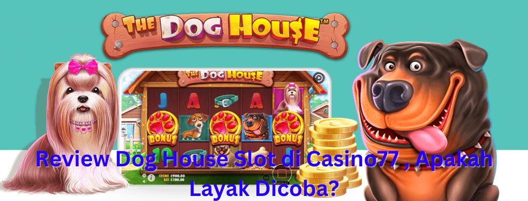 Review Dog House Slot di Casino77 , Apakah Layak Dicoba